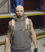 Grand Theft Auto V Screenshot 20251108   16462886