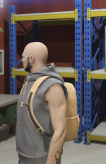 Grand Theft Auto V Screenshot 20251108   16471556