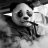 Andrej Medvedic I Wbear
